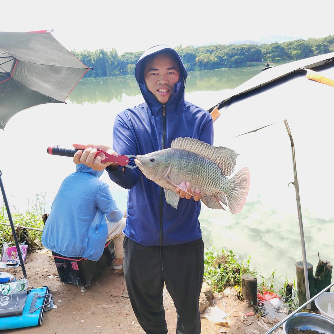龍的钓鱼