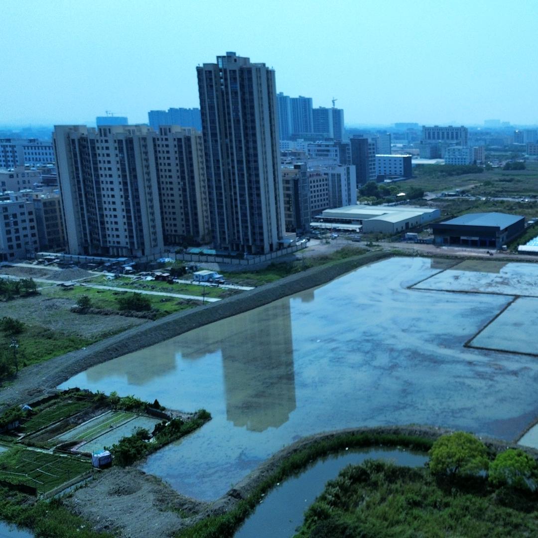 经纱张力控制器