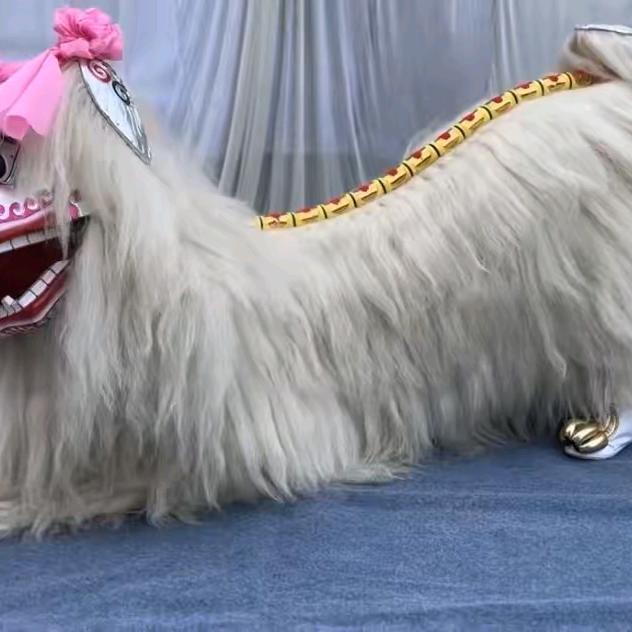 河南南阳宛城区朱远庄。唱小白诗舞狮团。