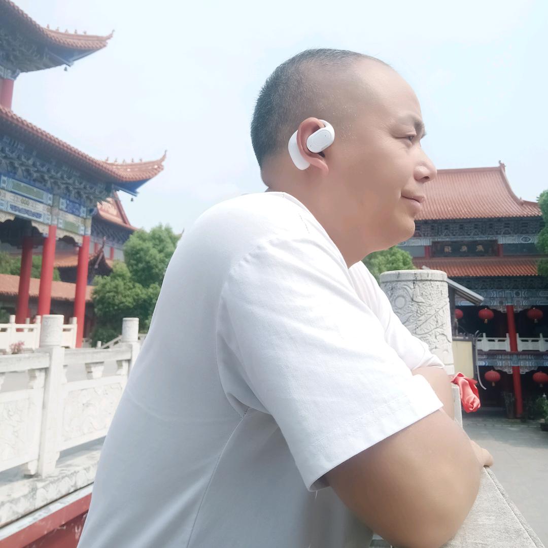 散缘悲客