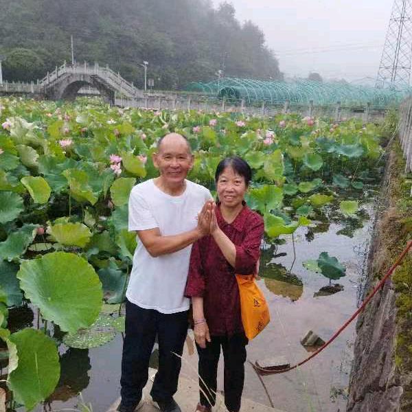 我是母生土长的飞龙人