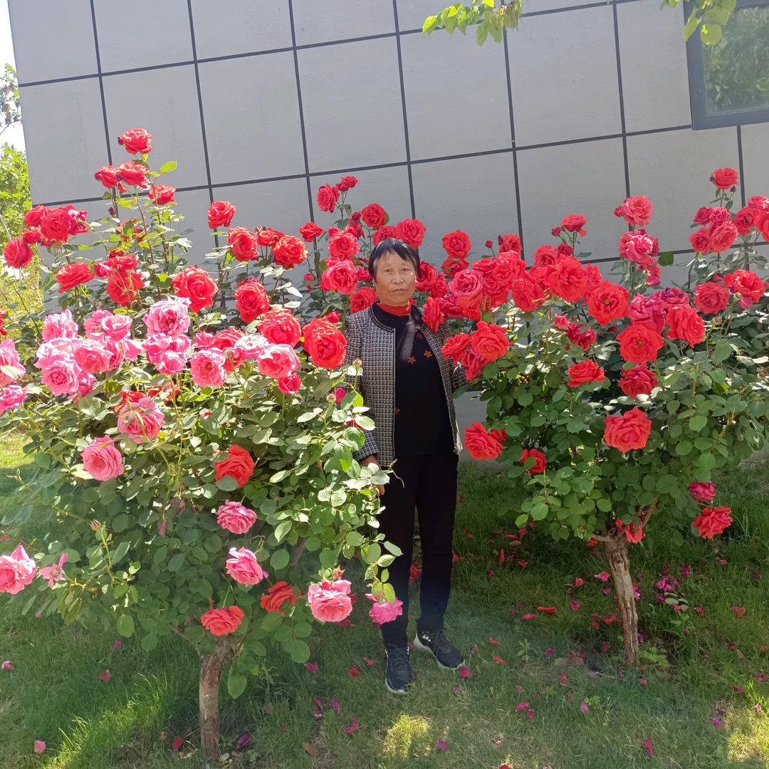 玲玲🌸