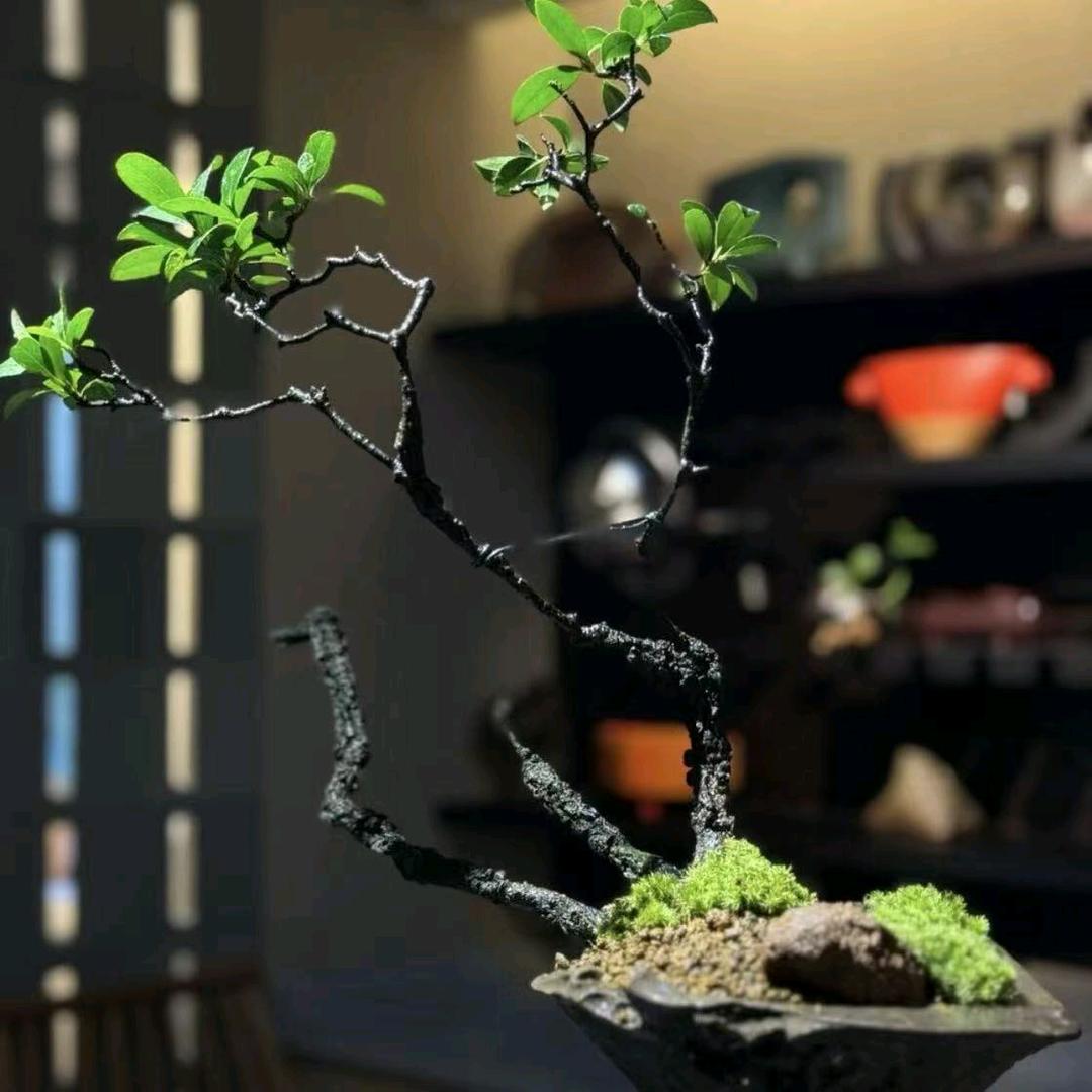 ঞ岘山