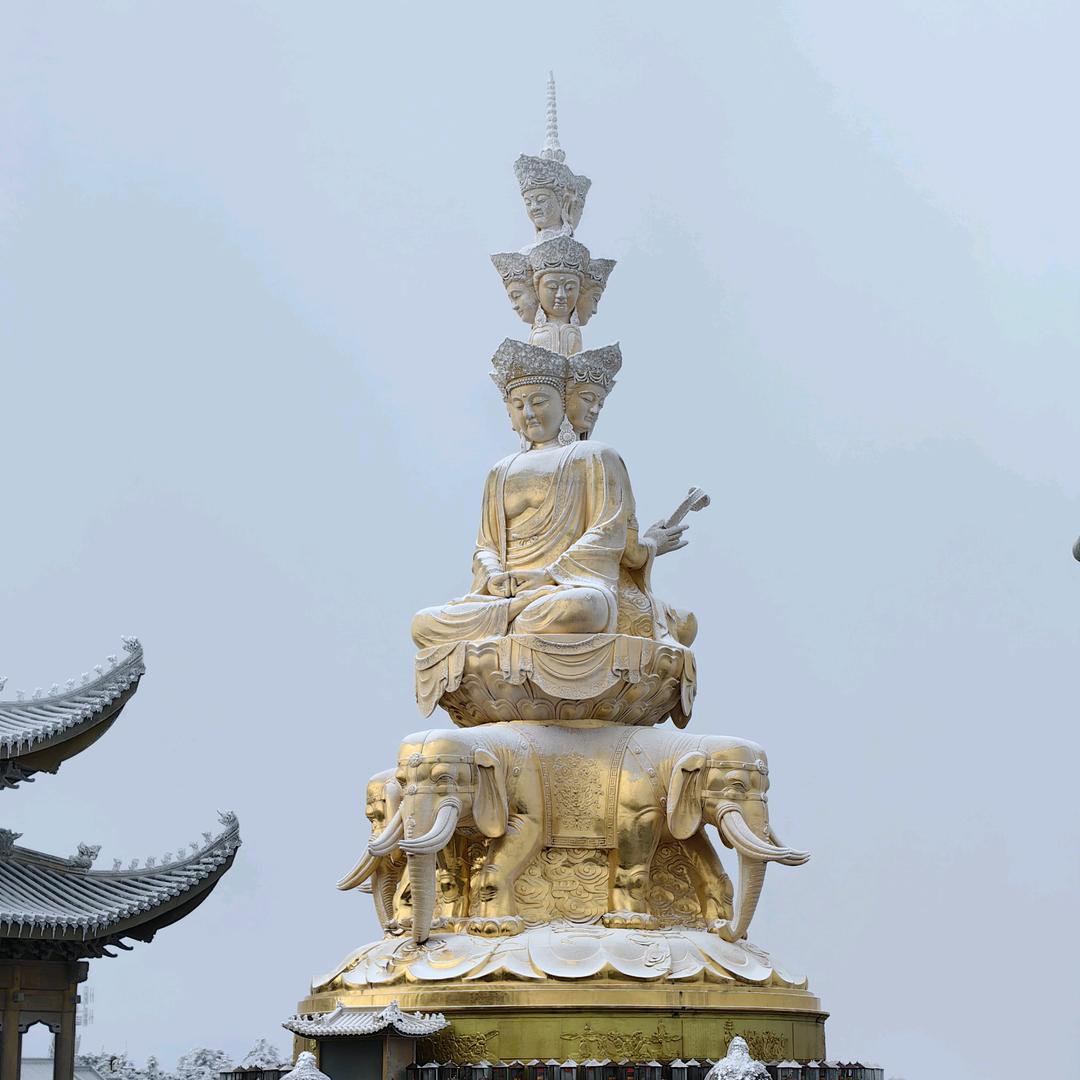 华仔xu