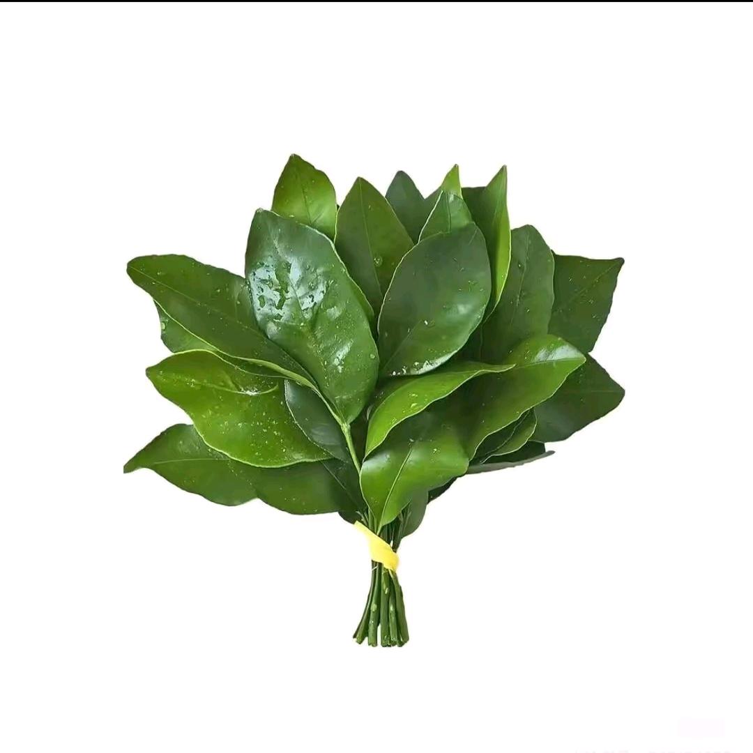 小陆乱撞
