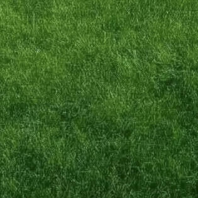 好物分享