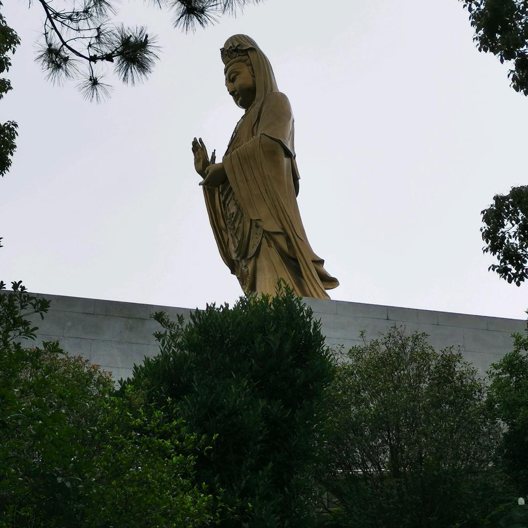 楠歌歌