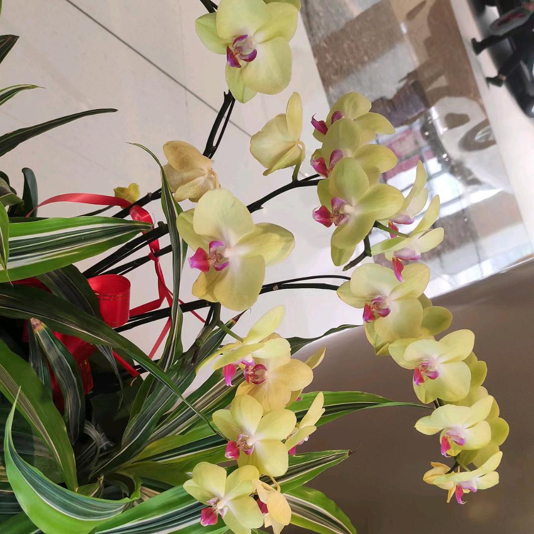 (｡￫v￩｡)赖᭄ꦿ❤