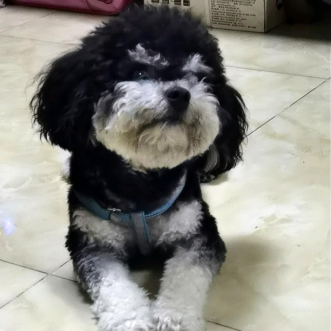 阿煜（yu四声）