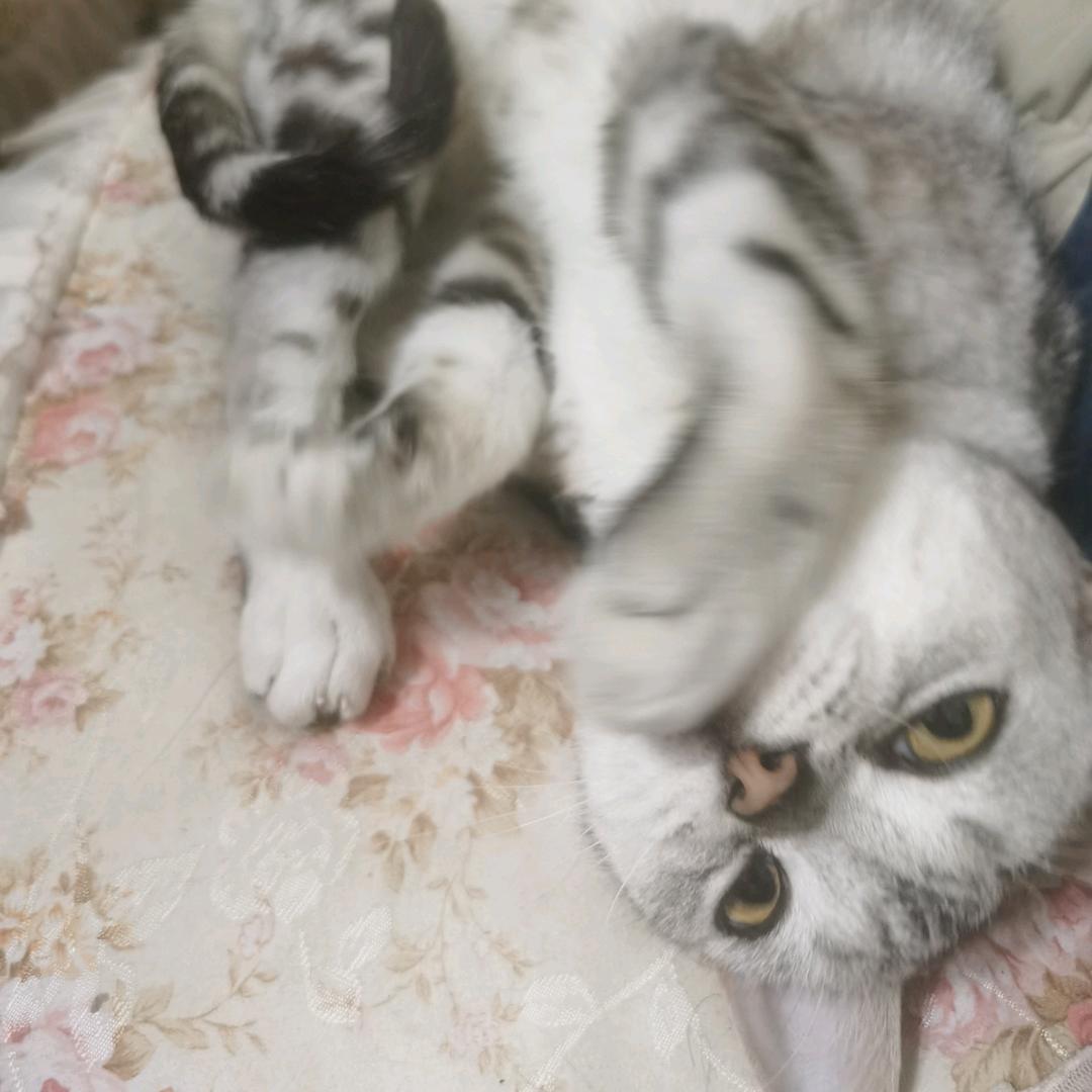 溜溜i