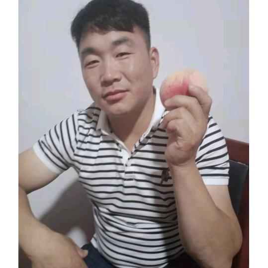 泰利农王收割团队刘哥
