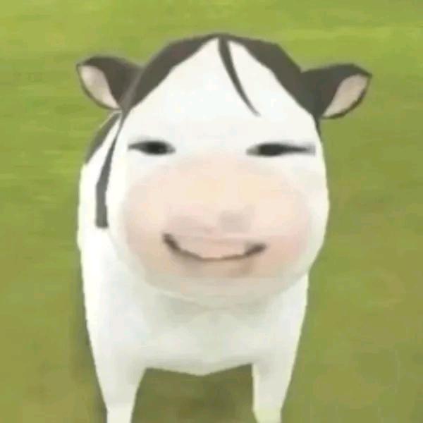 yy
