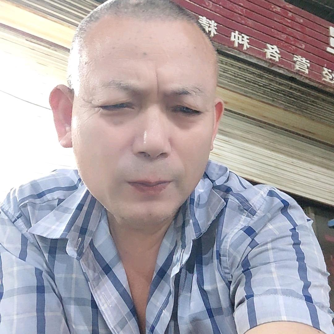 桂宝弟