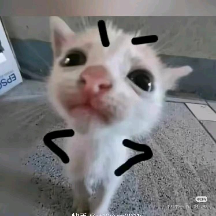 梧桐树不能吃