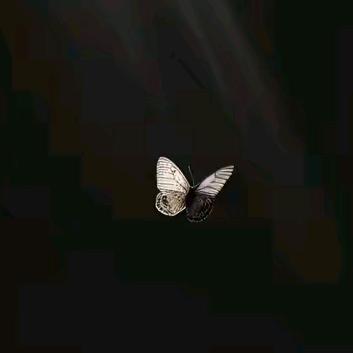 ༄སྐྱིད་啦🙆