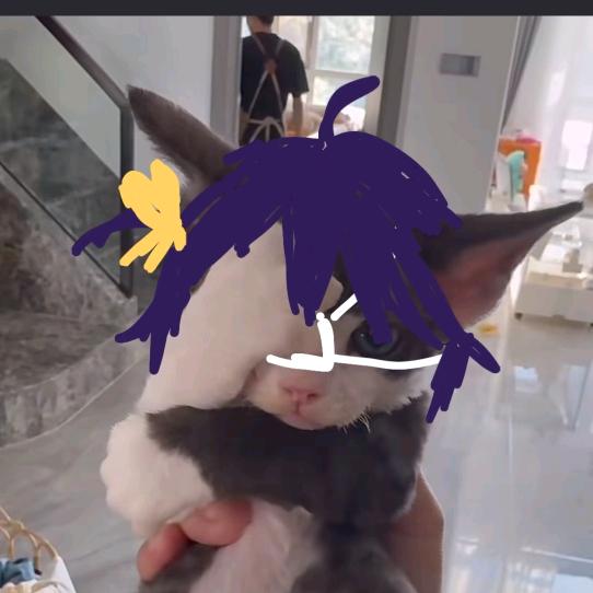净土jjt