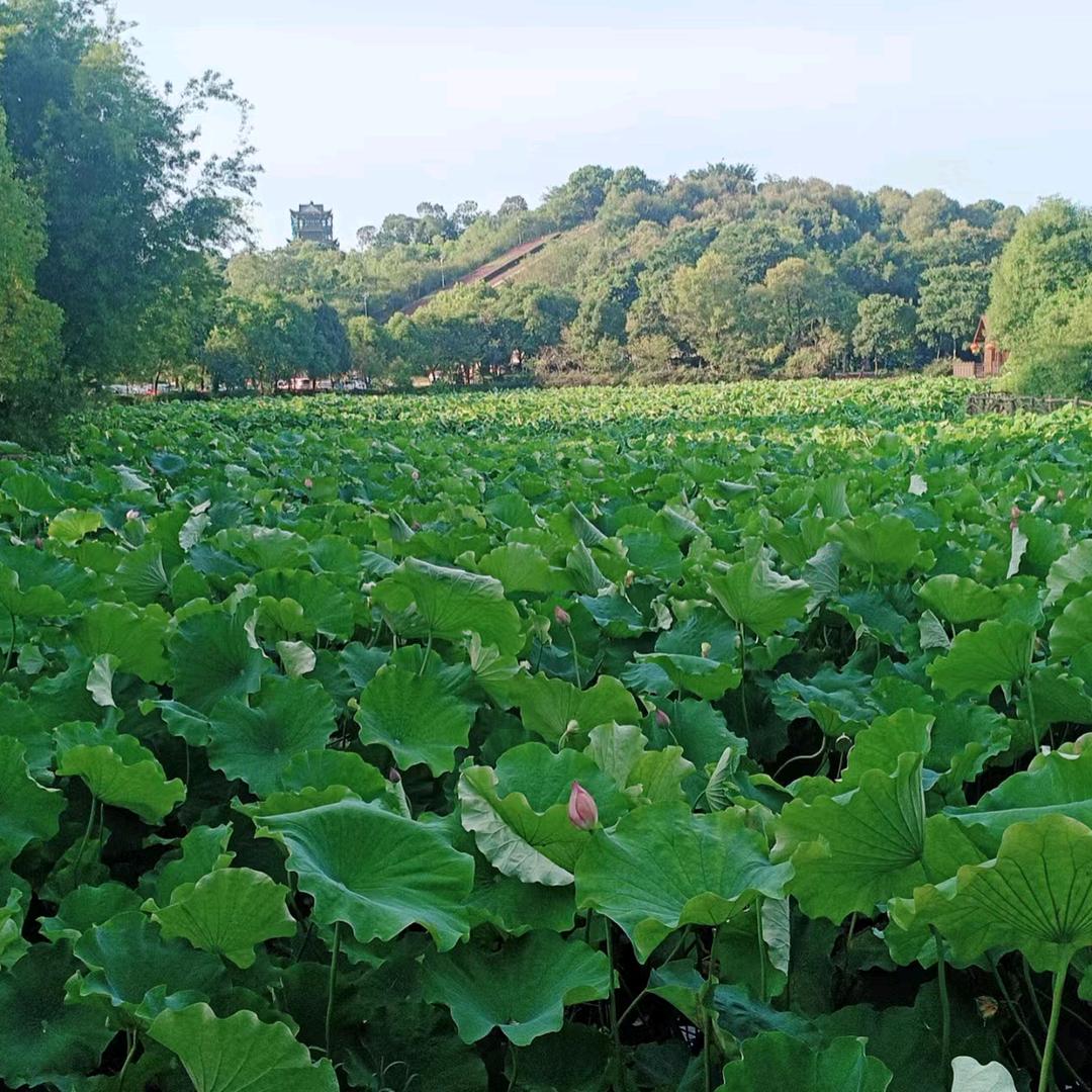 清洗油烟机热水器