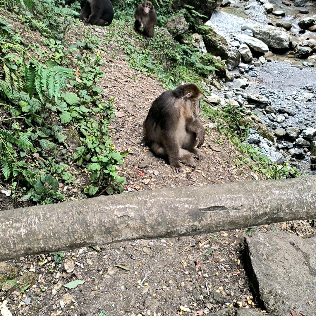渦の奥