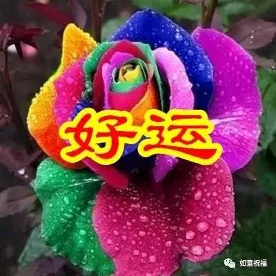 开💗💗