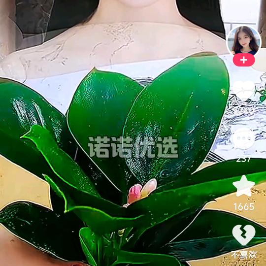 烦