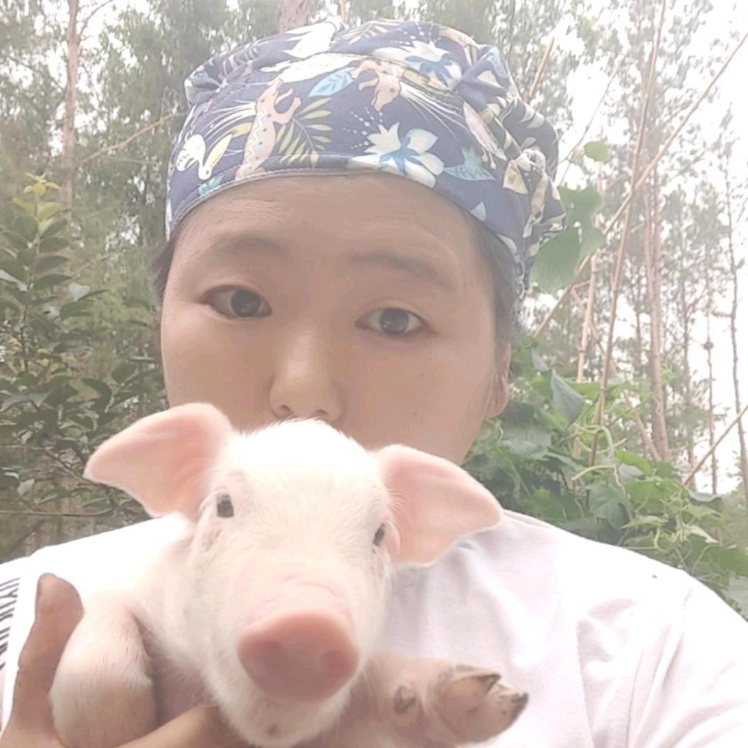 养母猪的俊姐