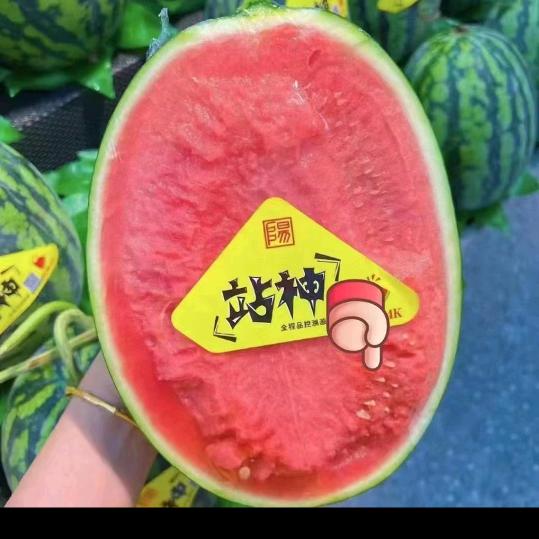勇往直前