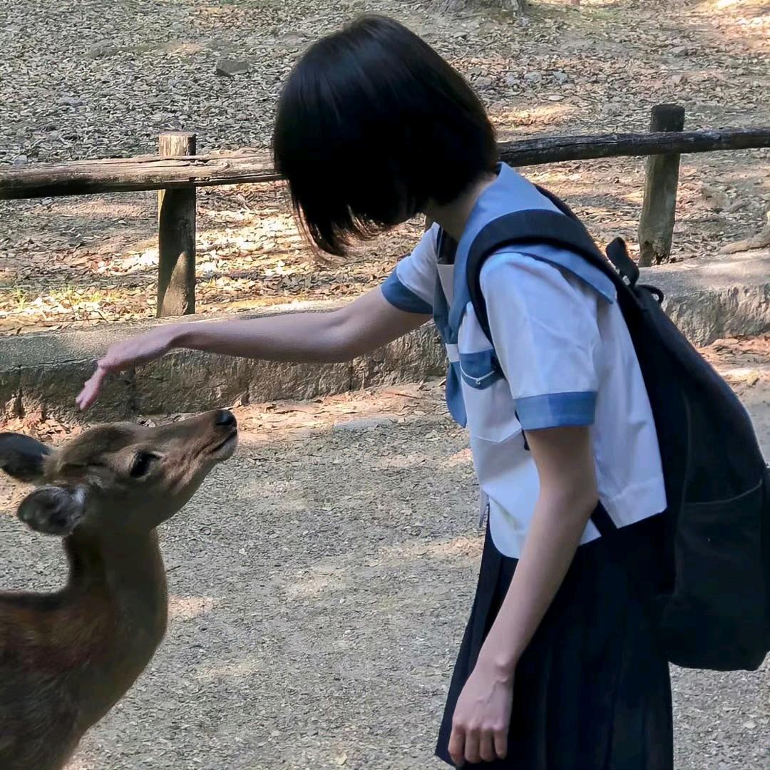 七...