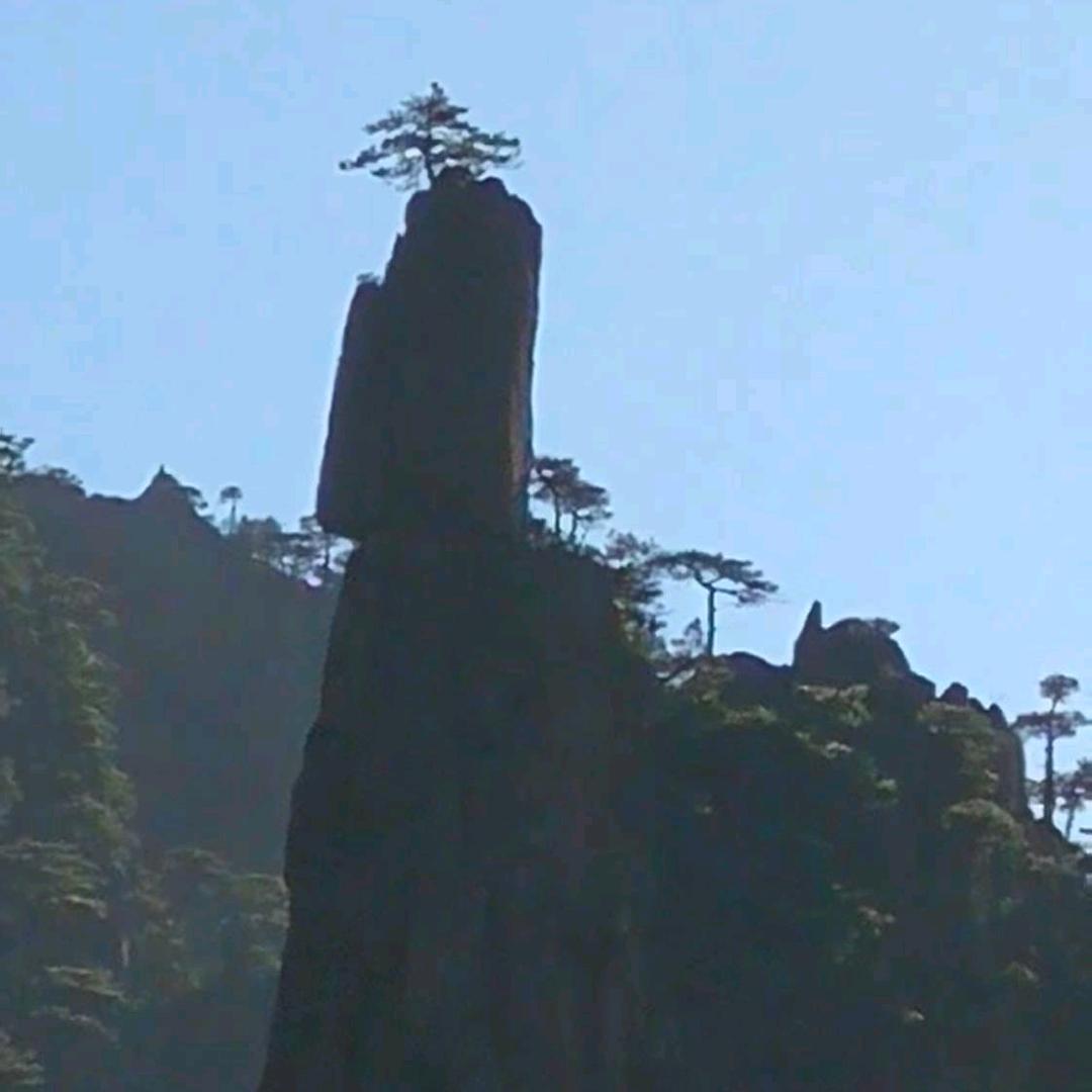 优雅的微笑小说分享