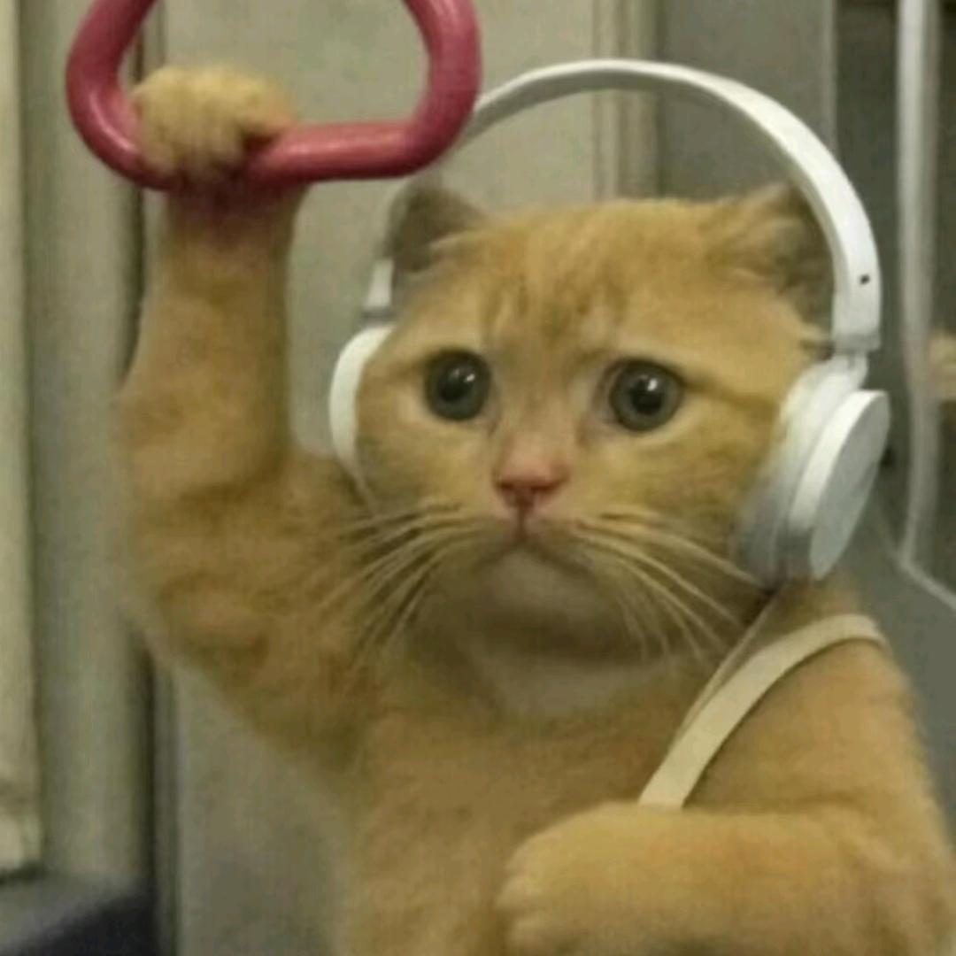 错把树根当人参