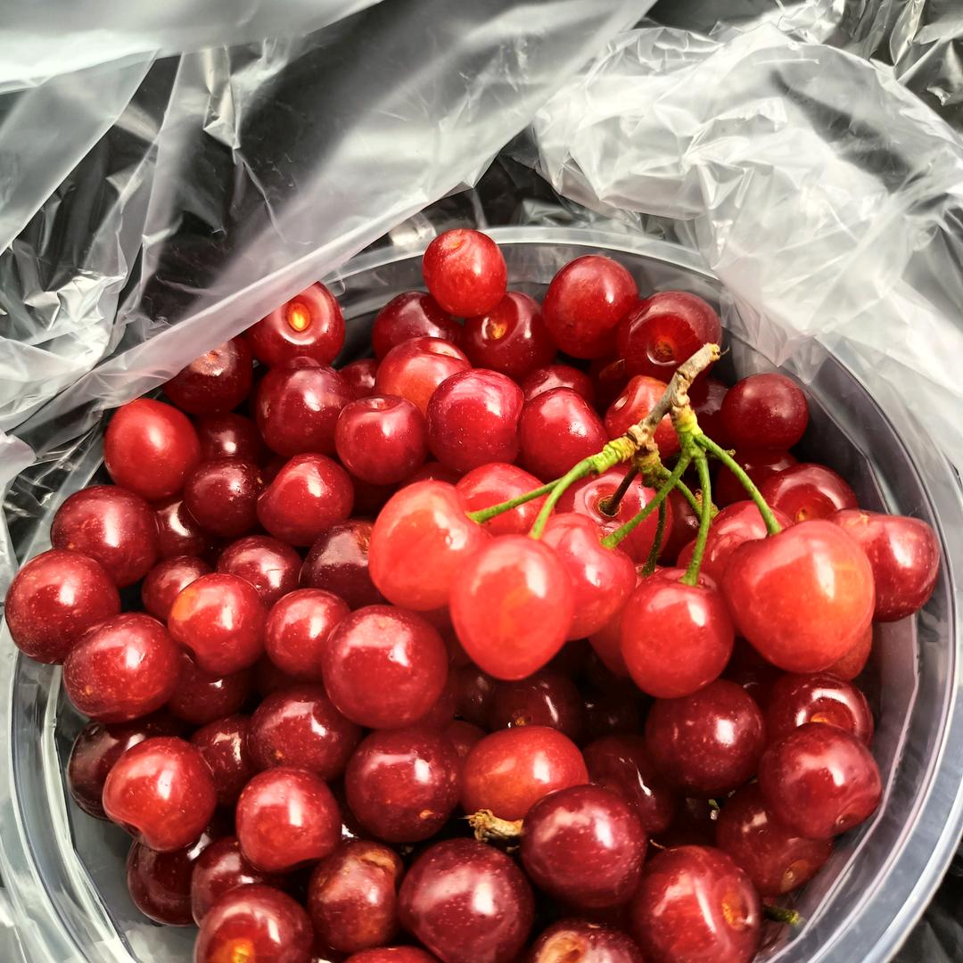 过客'～～而已…