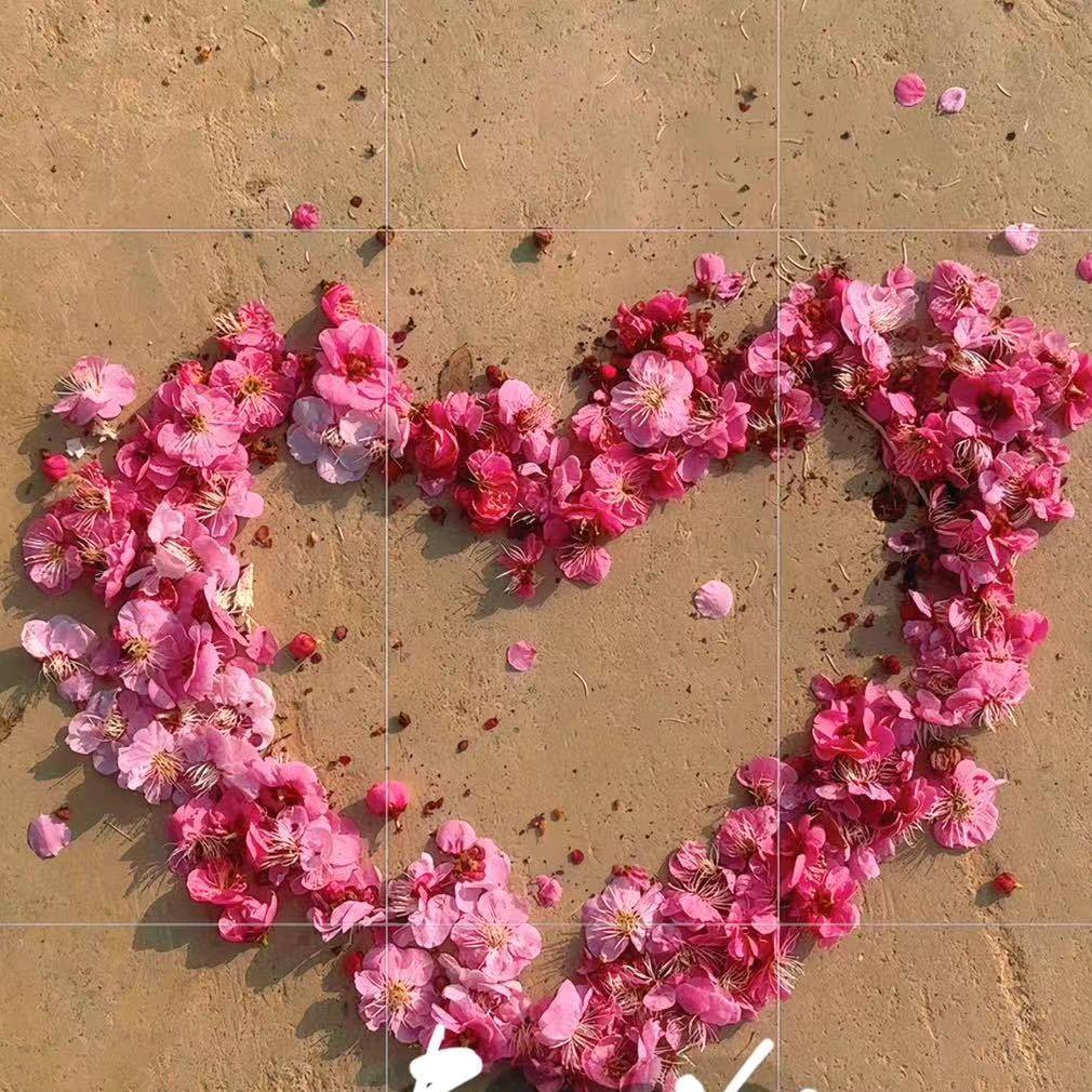 🍒🌼亦久亦旧🌼🍒