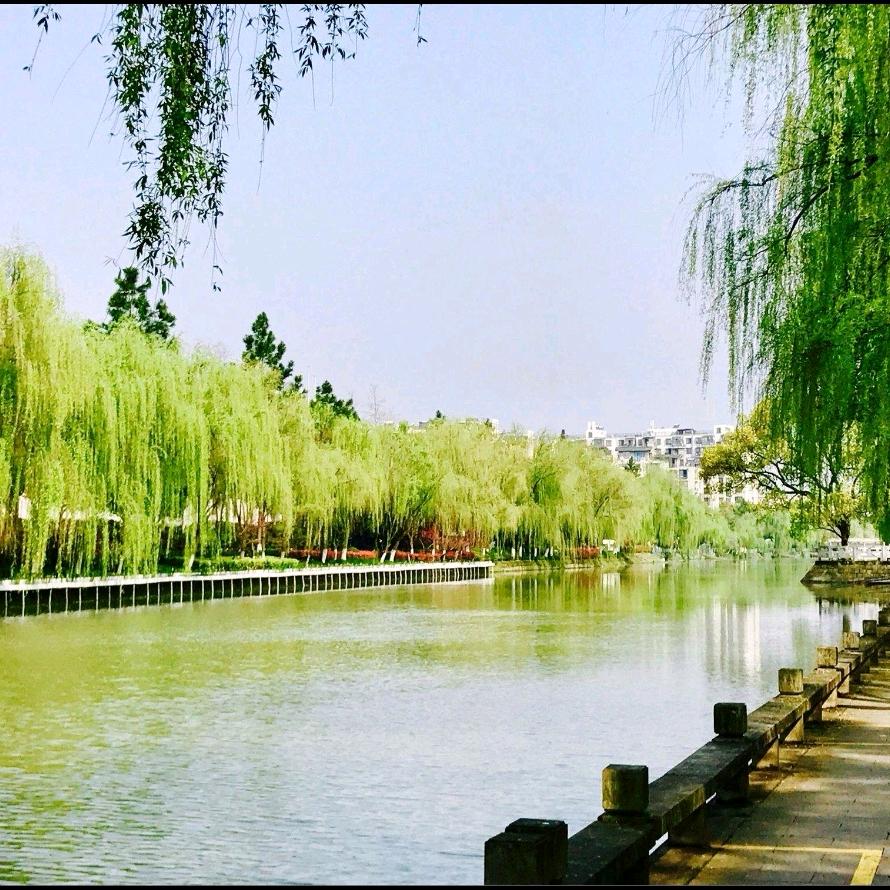 橙宝的夏天头像