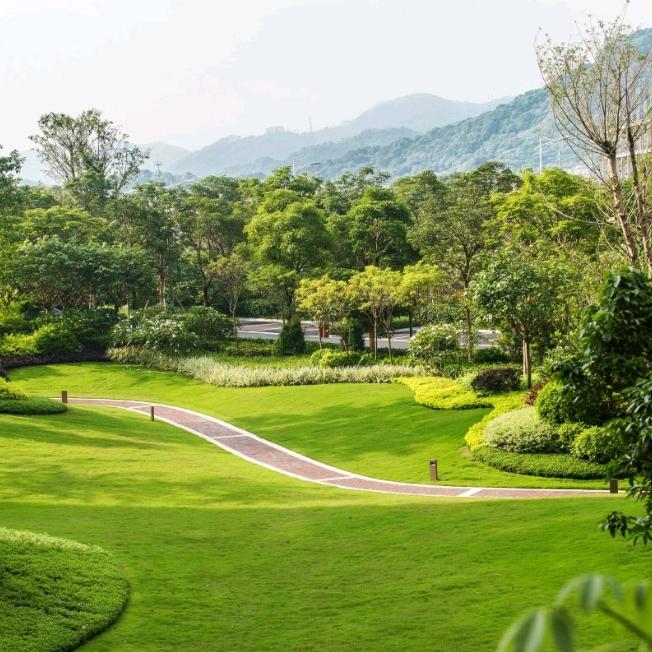 陈生草坪园林除草
