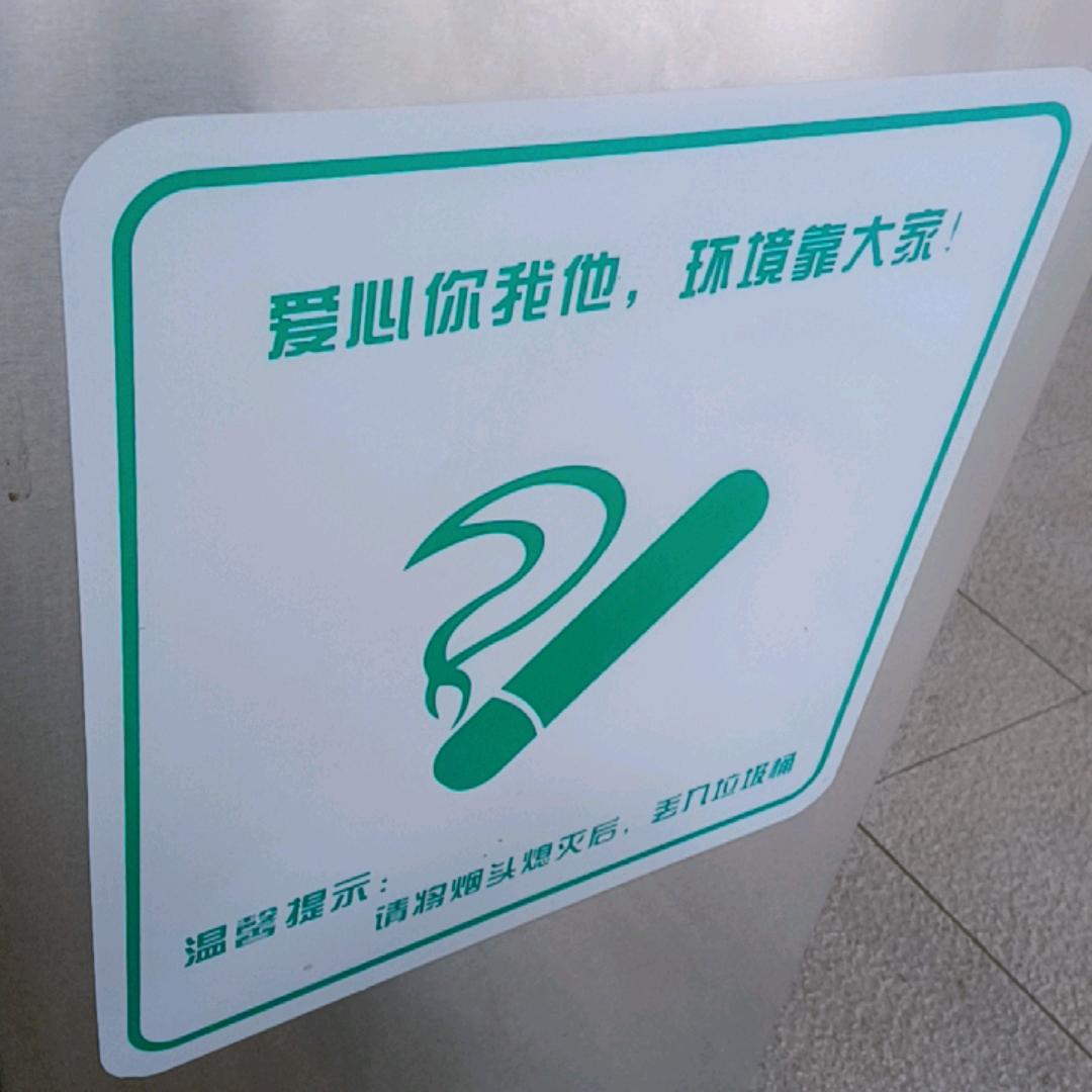 本人是单身的