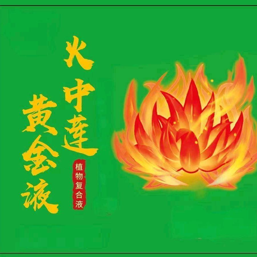 火中莲黄金液