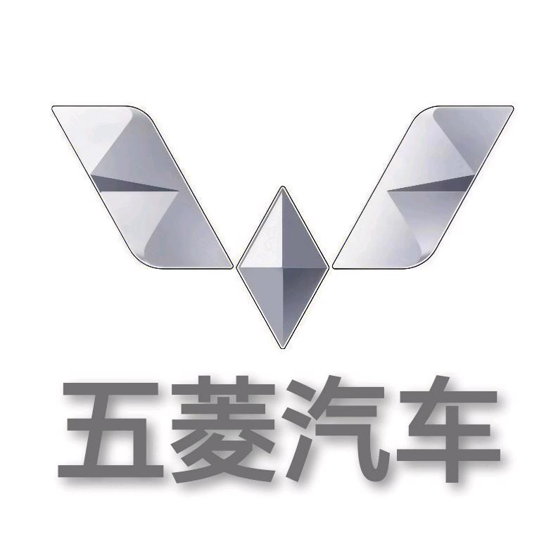 宜阳卖五菱的冯同学