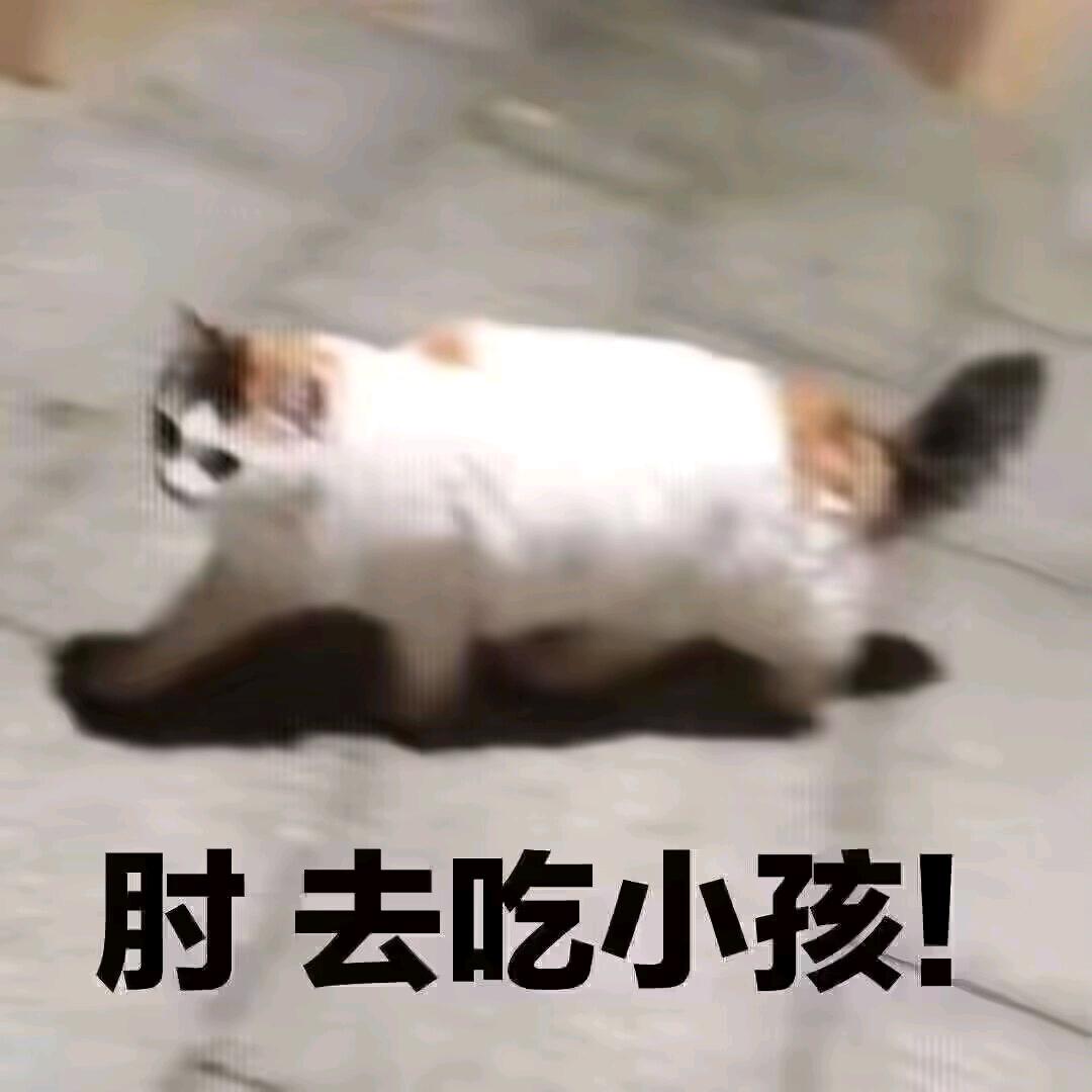 模医（可代工，偶尔掉落模型）