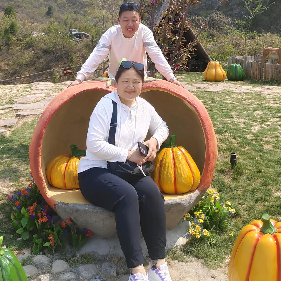 老杨树