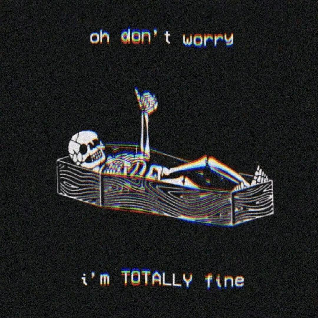笨笨的笨
