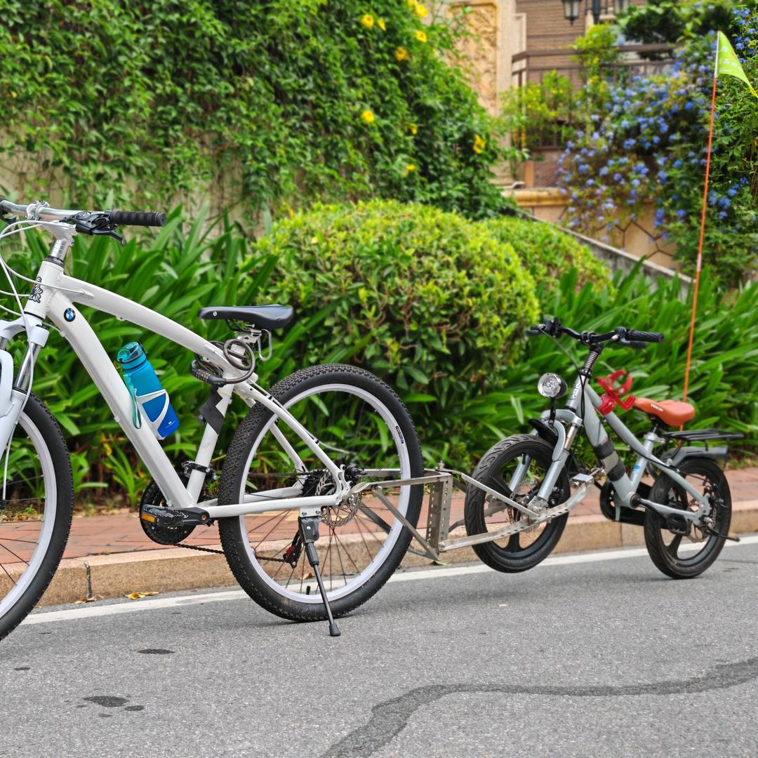 linkbaby儿童拖车唯一店