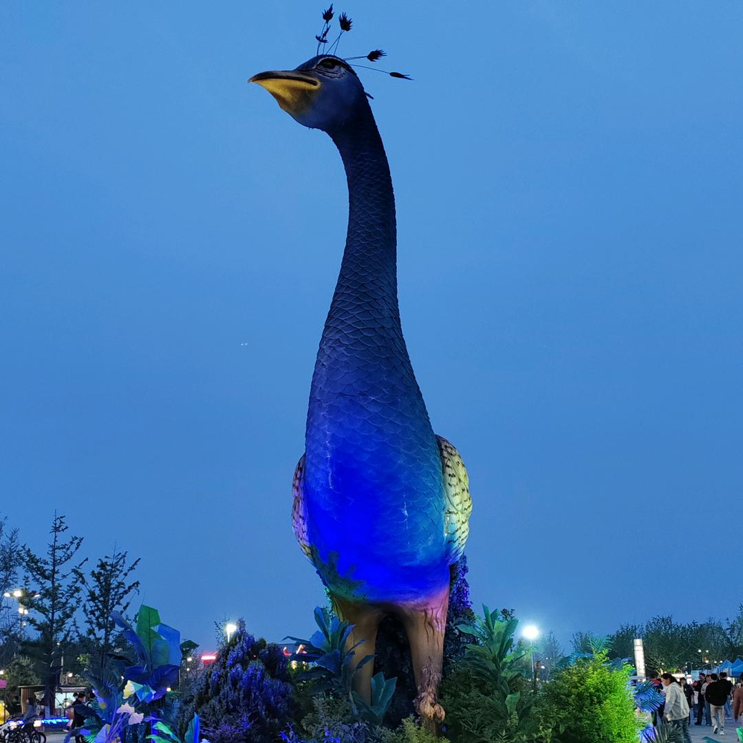 🌈🌈🌈A+高随风🌈🌈🌈