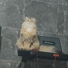 ✨元宝0826✨头像