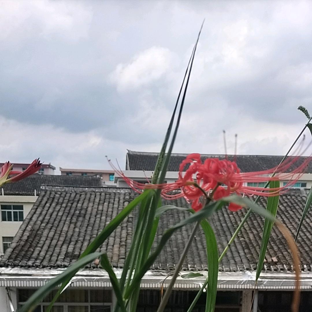 @心若在，梦就在