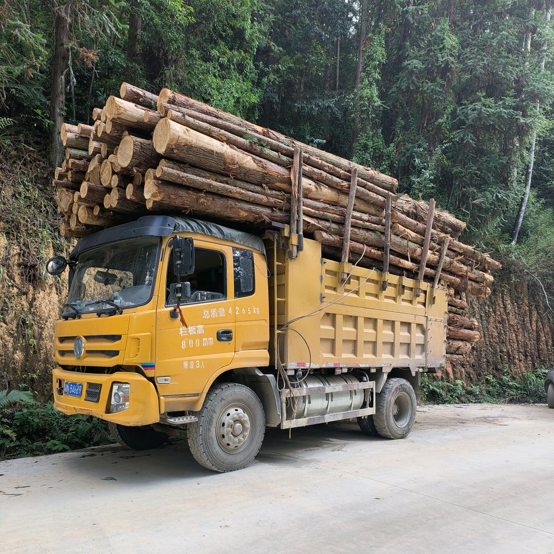 三都拉木仔🌲🌲🌲🌴🌴🌴