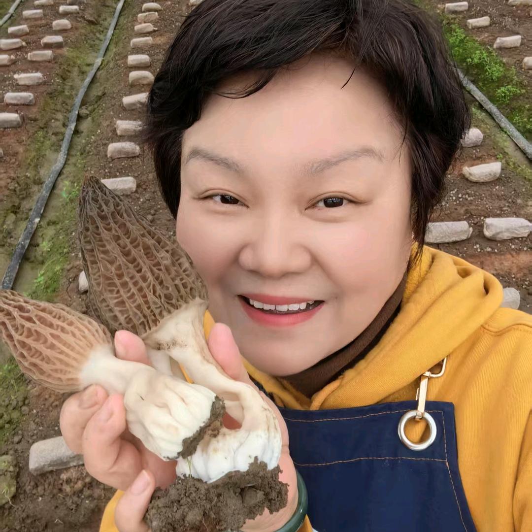 上海菇菇鲜羊肚菌种植基地