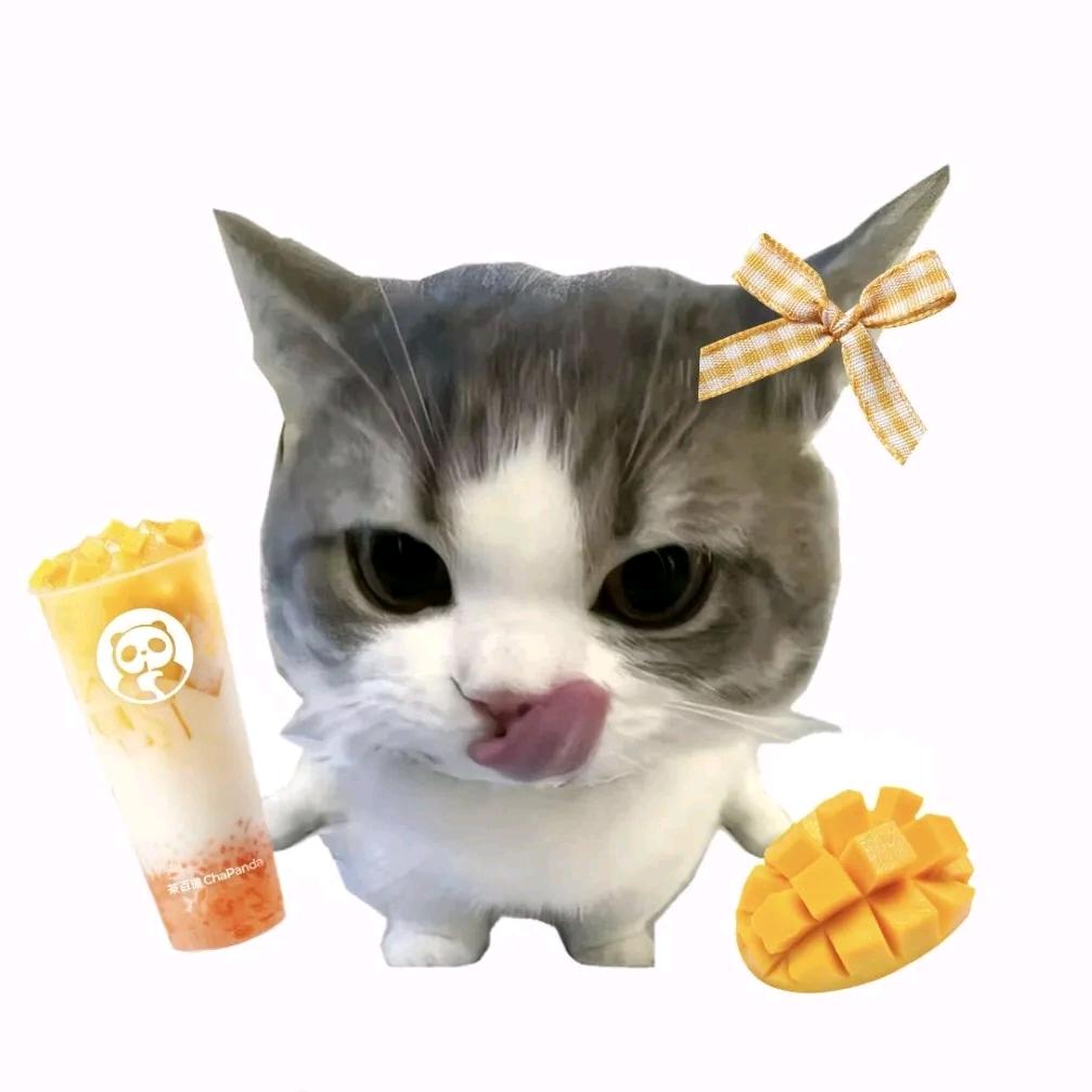 小鑫同学