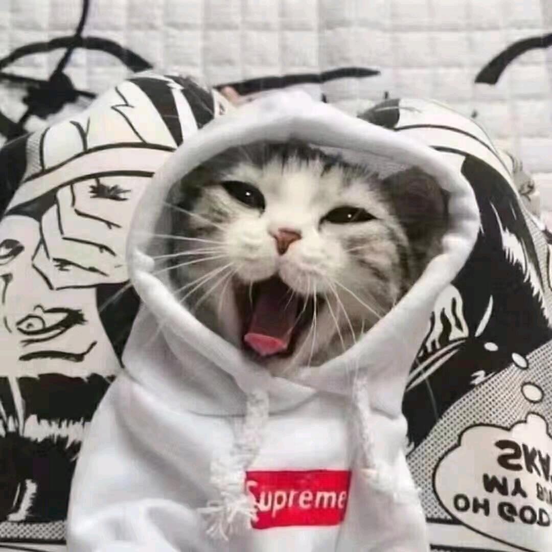 南深