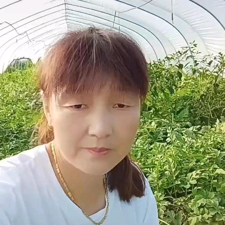 敷衍一下