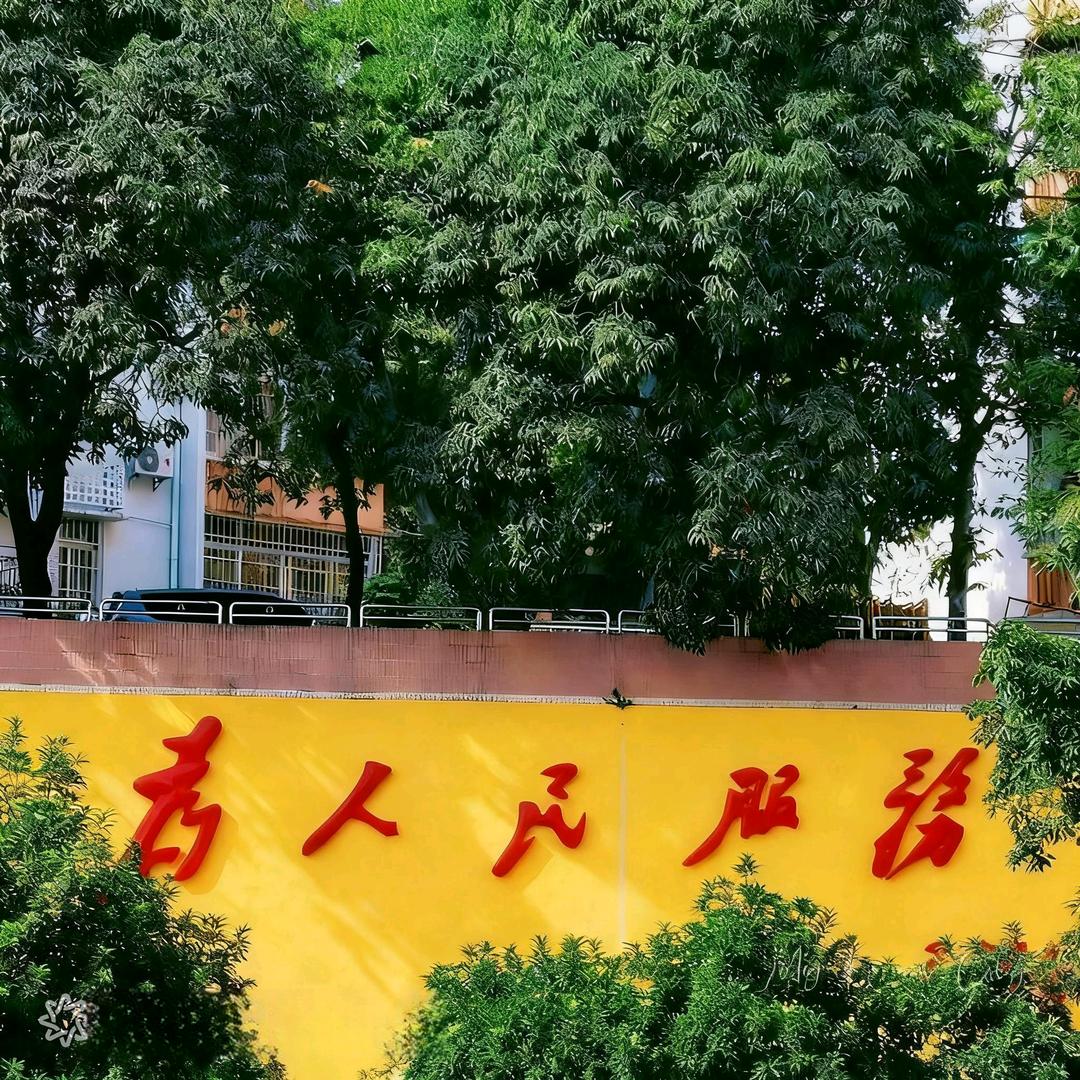 如是字在