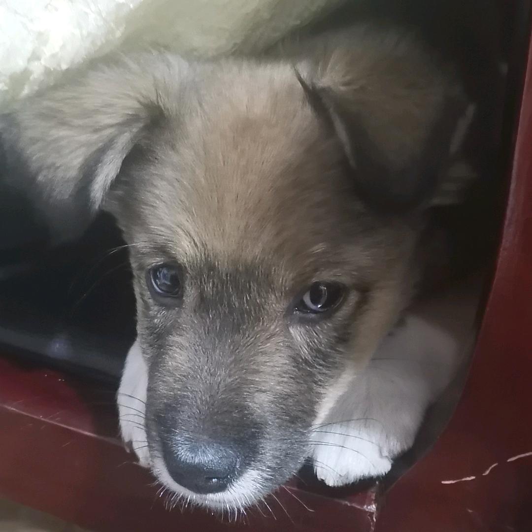 难难难老师